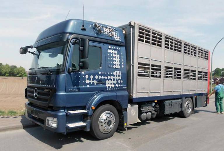 Прицеп для перевозки крупного рогатого скота 500 шт из Нижнего Новгорода в Ясногорск тульской области