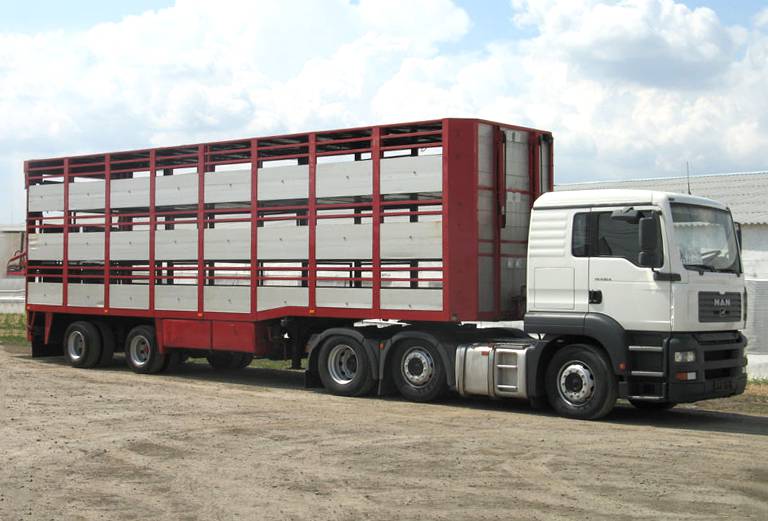 Заказать скотовоз для крупного рогатого скота из Большеорлвского в Б. Болдино